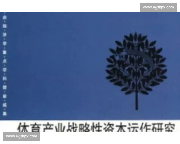 聚焦体育产业升级与资本运作的综合融资创新方案研究加速发展路径探索